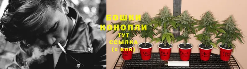 Бошки марихуана THC 21%  купить закладку  Игарка 